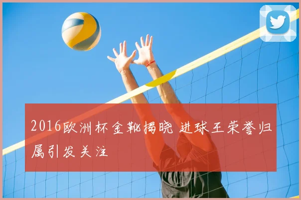 2016欧洲杯金靴揭晓 进球王荣誉归属引发关注